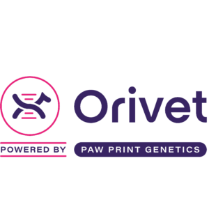 Orivet